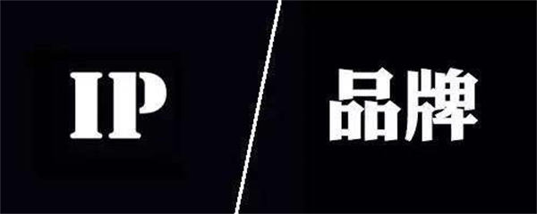 坚持价值输出之打造个人IP&mdash;&mdash;实战操作 个人IP 博客运营 第2张