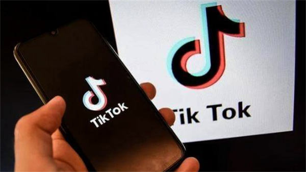 一个星期如何实现Tiktok快速涨粉15k TikTok 引流 经验心得 第11张 一个星期如何实现Tiktok快速涨粉15k TikTok 引流 经验心得 第11张