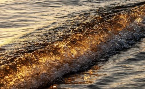 二手设备回收商,更了解餐饮创业,也更了解大环境?